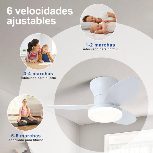 Hola LED Ventilador de Techo RXFL8001 -880mm, Luz LED Regulable 40w, 3000K-6000K,Blanco/Beige