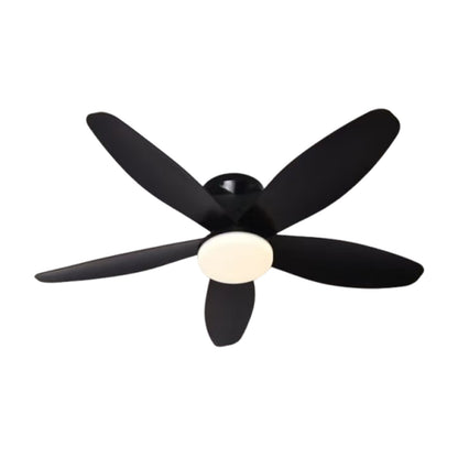 Ventilador de Techo LED Hola LED 42" – Luz Regulable 3000K-6000K, Blanco / Beige / Negro / Marrón, 85-265V