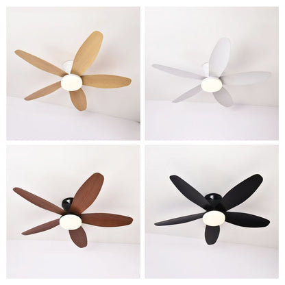 Ventilador de Techo LED Hola LED 42" – Luz Regulable 3000K-6000K, Blanco / Beige / Negro / Marrón, 85-265V