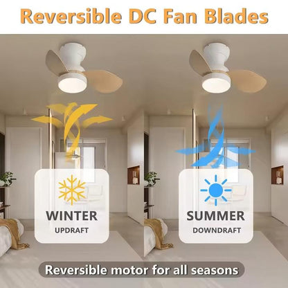 Hola LED Ventilador de Techo RXFL8001 -880mm, Luz LED Regulable 40w, 3000K-6000K,Blanco/Beige