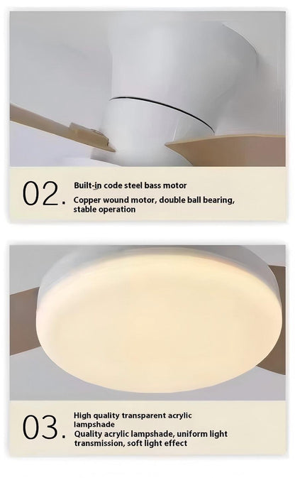 Hola LED Ventilador de Techo RXFL8001 -880mm, Luz LED Regulable 40w, 3000K-6000K,Blanco/Beige